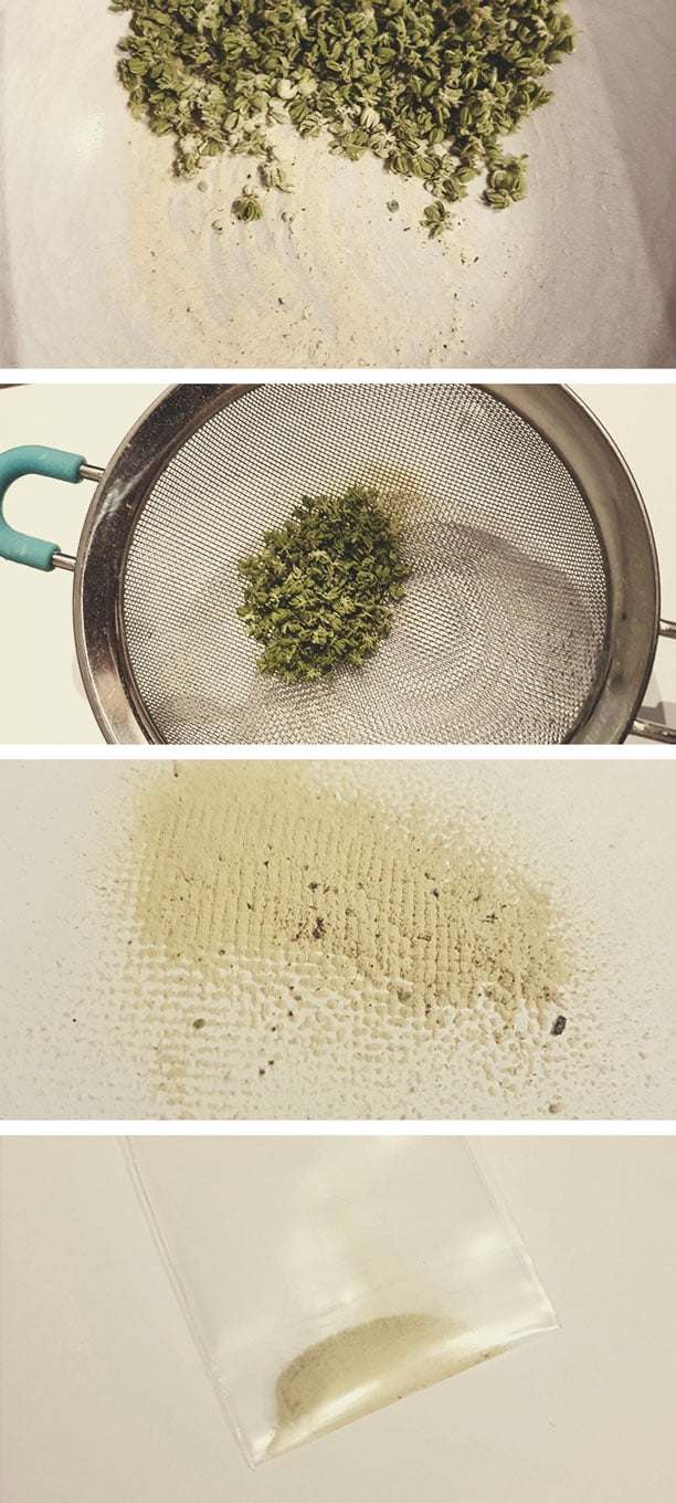 Hoe cannabis-stuifmeel te oogsten