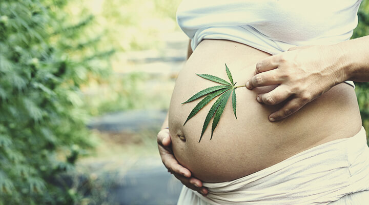 Cannabis en CBD tijdens de zwangerschap