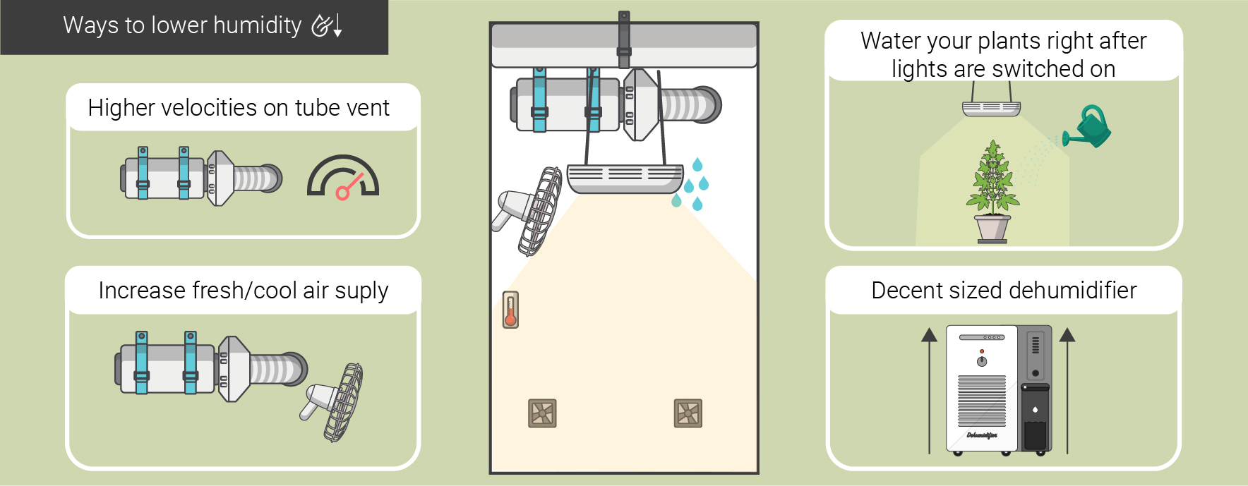 HUMIDITY LEVELS AND TEMPERATURES: FROM SEEDLING TO HARVEST