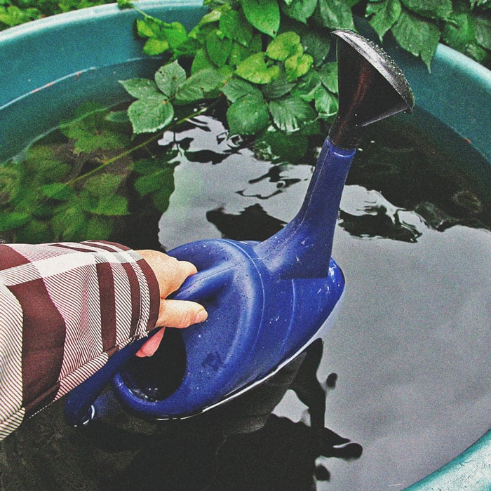 Wiet en waterkwaliteit deel 3: kies je waterbron Wiet en waterkwaliteit deel 3: kies je waterbron