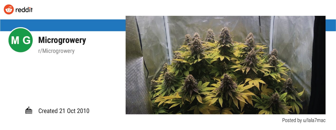 Microgrowery (r/Microgrowery) Microgrowery (r/Microgrowery)