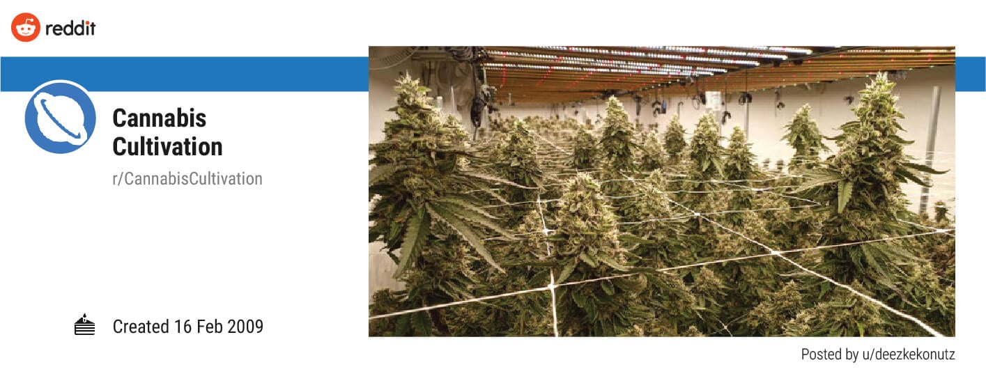 Cannabis Cultivation (r/CannabisCultivation) Cannabis Cultivation (r/CannabisCultivation)
