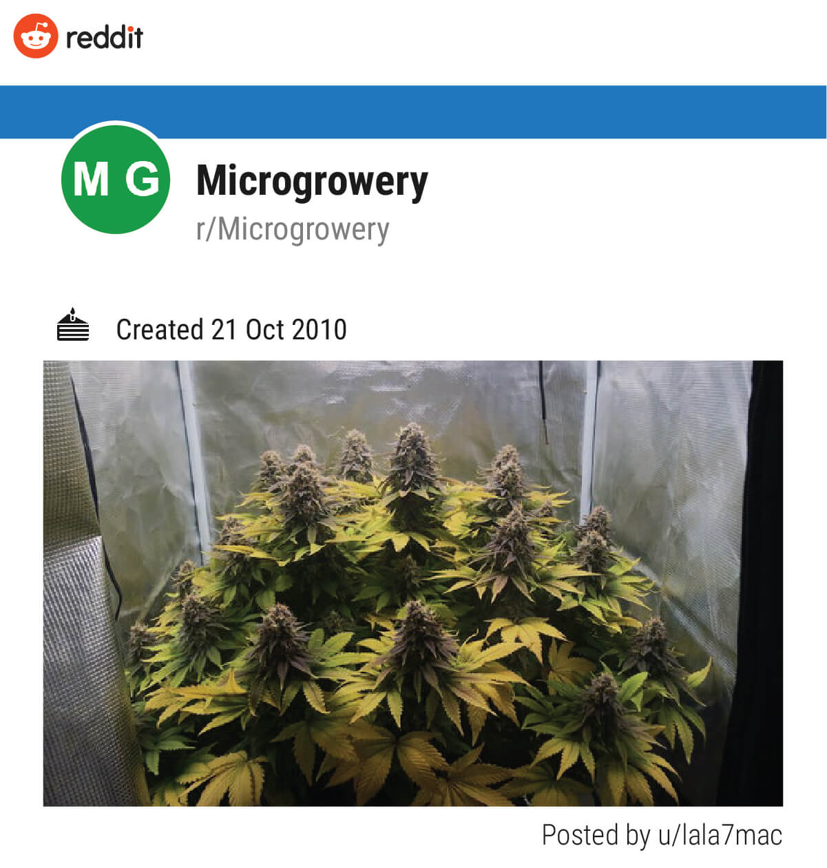 Microgrowery (r/Microgrowery) Microgrowery (r/Microgrowery)