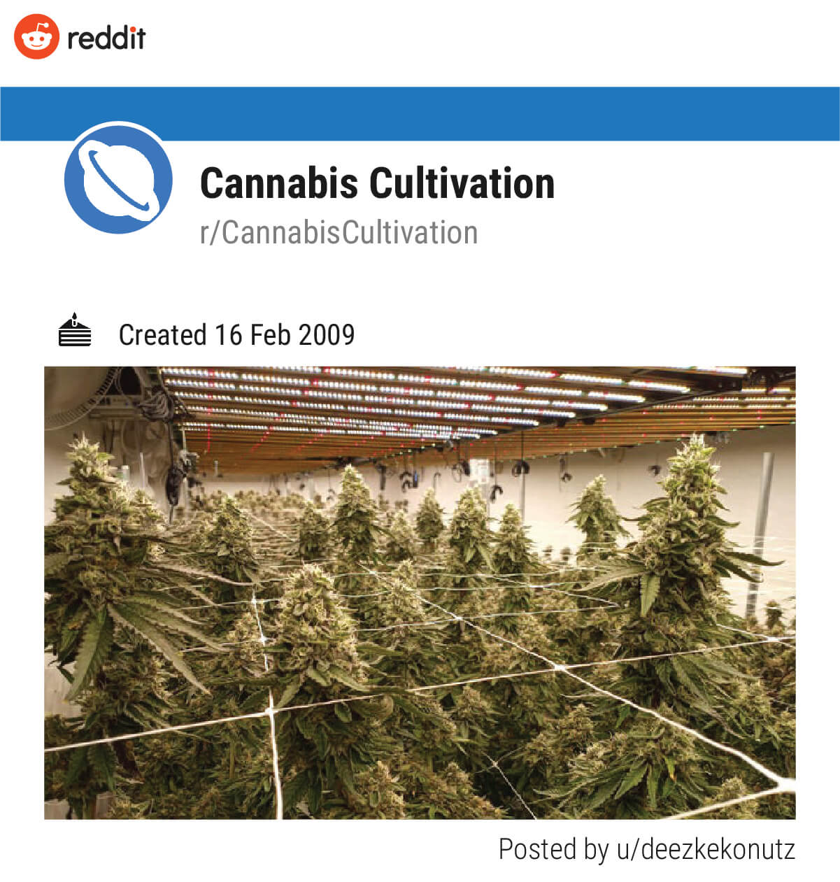 Cannabis Cultivation (r/CannabisCultivation) Cannabis Cultivation (r/CannabisCultivation)