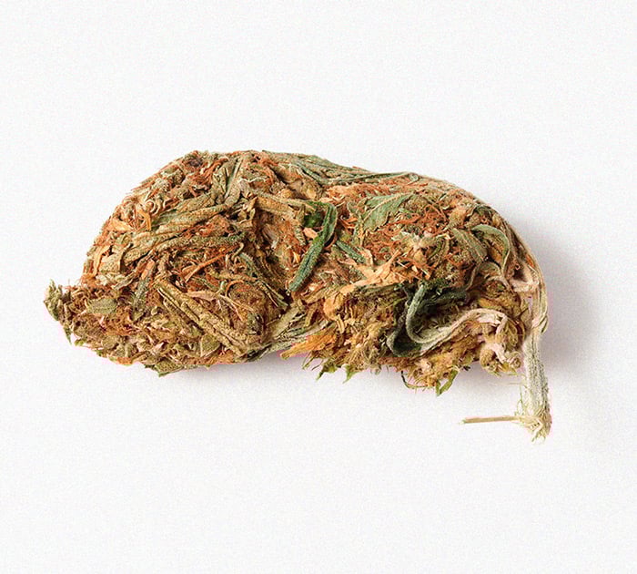 Wat is 'reggie weed' en kun je het roken? Wat is 'reggie weed' en kun je het roken?