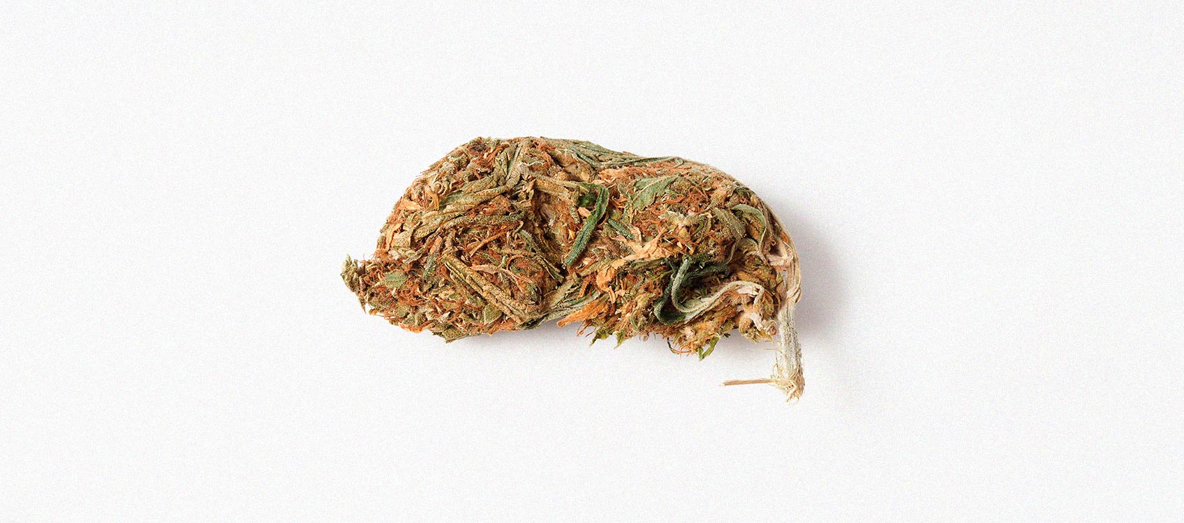 Wat is 'reggie weed' en kun je het roken? Wat is 'reggie weed' en kun je het roken?