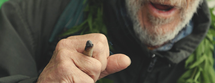 DE CANNABIS BEWEGING IN SPANJE