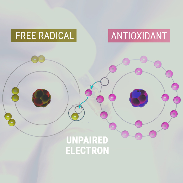 CBD-OLIE ALS ANTIOXIDANT CBD-OLIE ALS ANTIOXIDANT