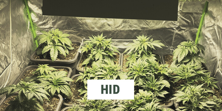 HID