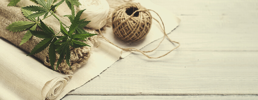 Hernieuwbrare bronnen en bioremediatie