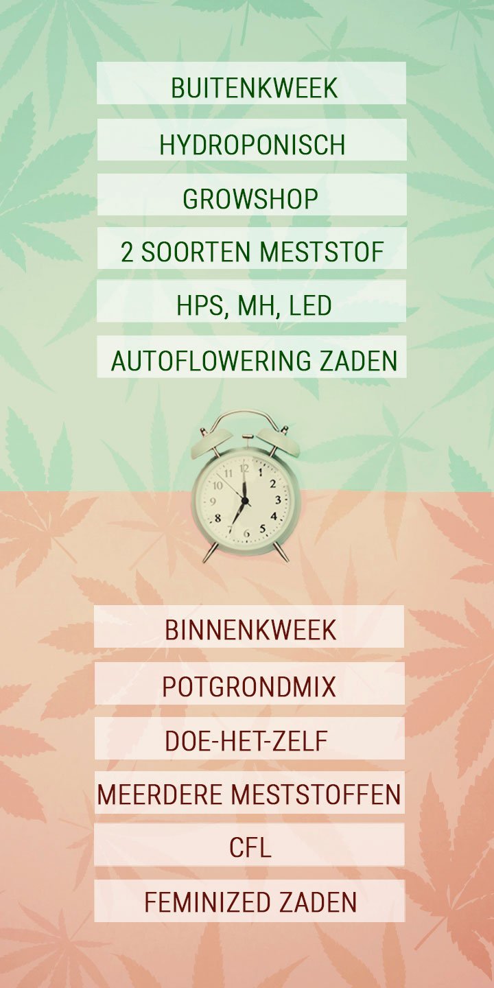 Tijdbesparende tips voor drukke cannabiskwekers 