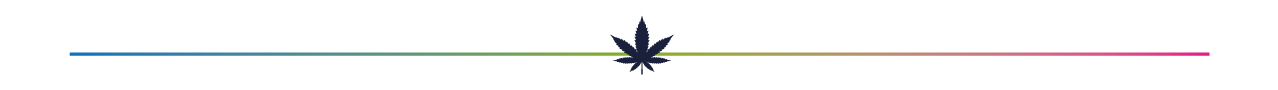 European 2022 Drug Survey