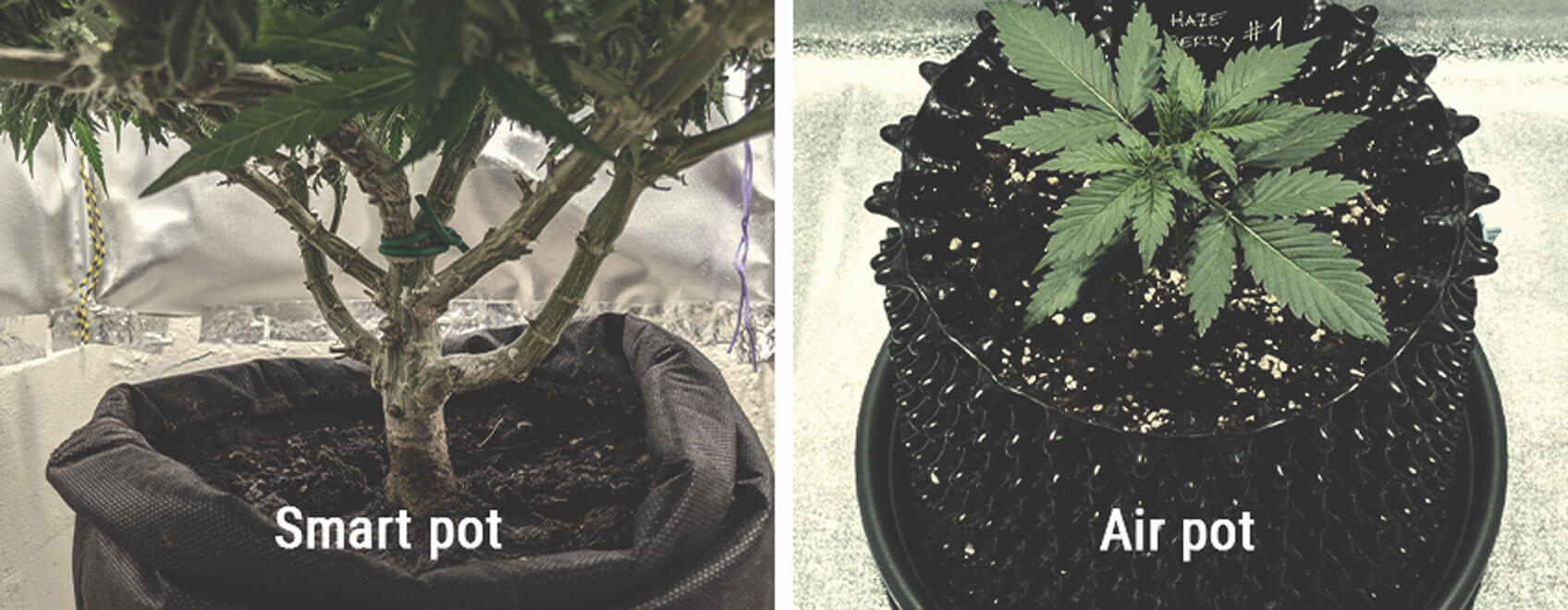 What Are Smart Pots and Air-Pots? What Are Smart Pots and Air-Pots?