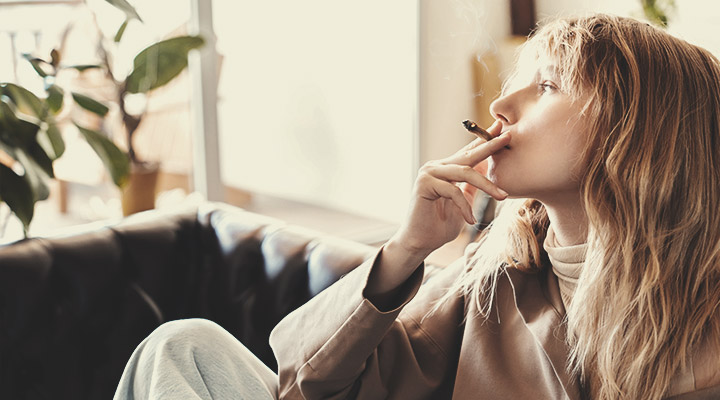 De THC-spiegel bij chronische gebruikers De THC-spiegel bij chronische gebruikers