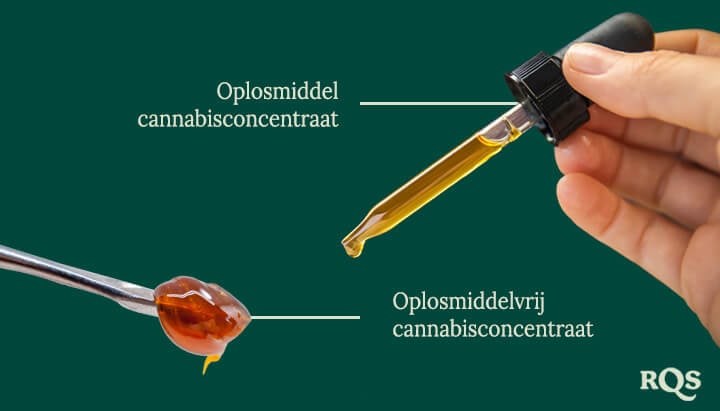 Solvent vs solventless