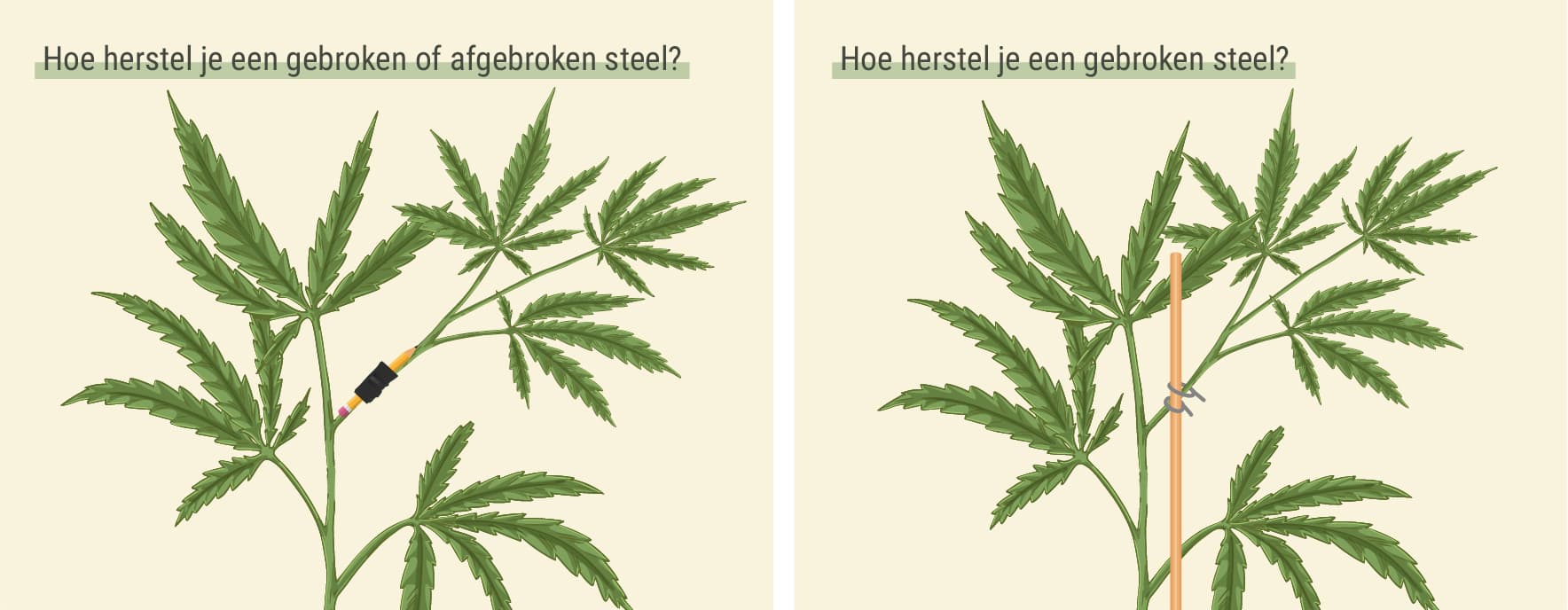 Hoe herstel je een gebroken of afgebroken steel? Hoe herstel je een gebroken of afgebroken steel?