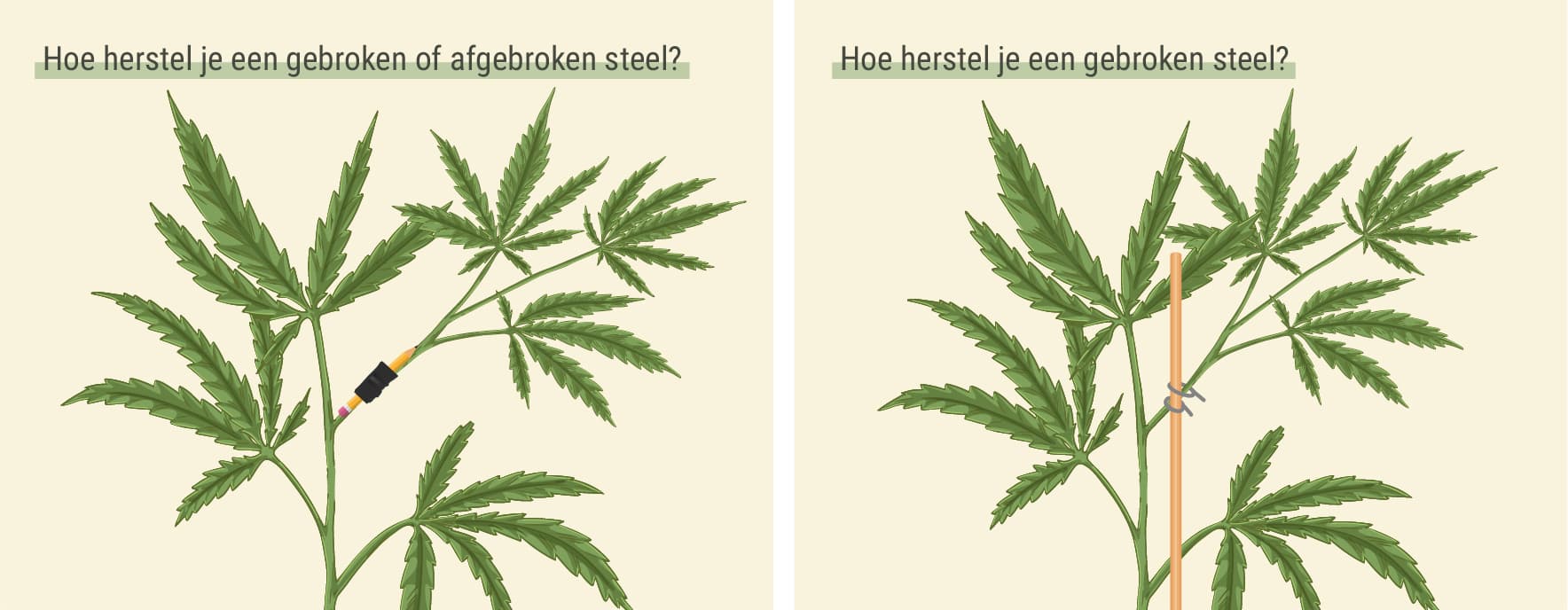 Hoe herstel je een gebroken of afgebroken steel?