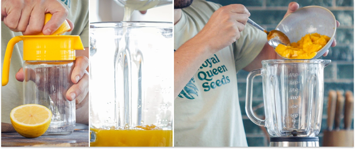 Stap 2: Voeg de vloeistoffen toe aan de blender voor een romige cannabis-smoothie Het inschenken van sinaasappelsap, water en citroensap in de blenderkan met stukjes mango om een smoothie te maken.
