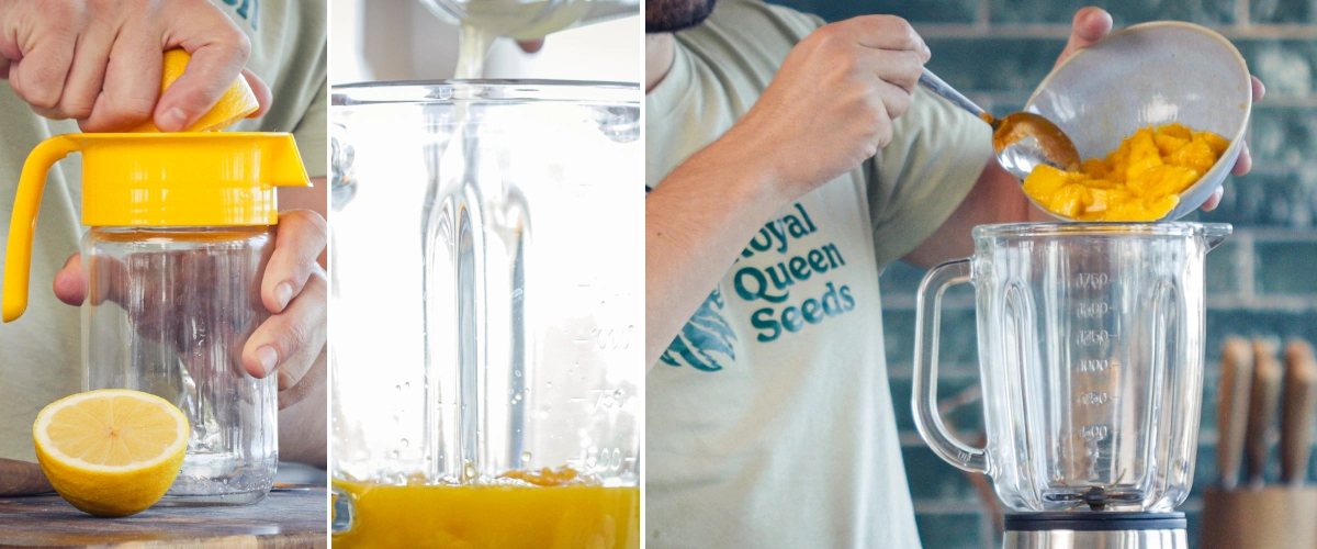 Het inschenken van sinaasappelsap, water en citroensap in de blenderkan met stukjes mango om een smoothie te maken.