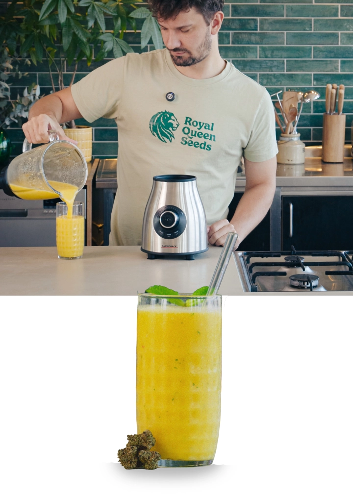 Stap 4–5: Blend de cannabis-smoothie tot romig en serveer direct Het blenden van een mango-cannabissmoothie en het inschenken van de afgewerkte drank in een glas met een gladde, romige textuur.