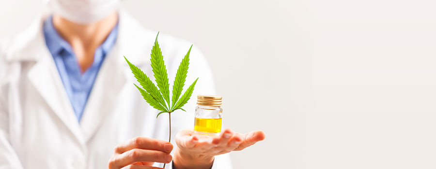 Helthy cannabis
