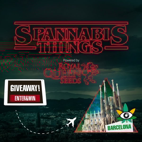SPANNABIS THINGS AANGELEGENHEDEN