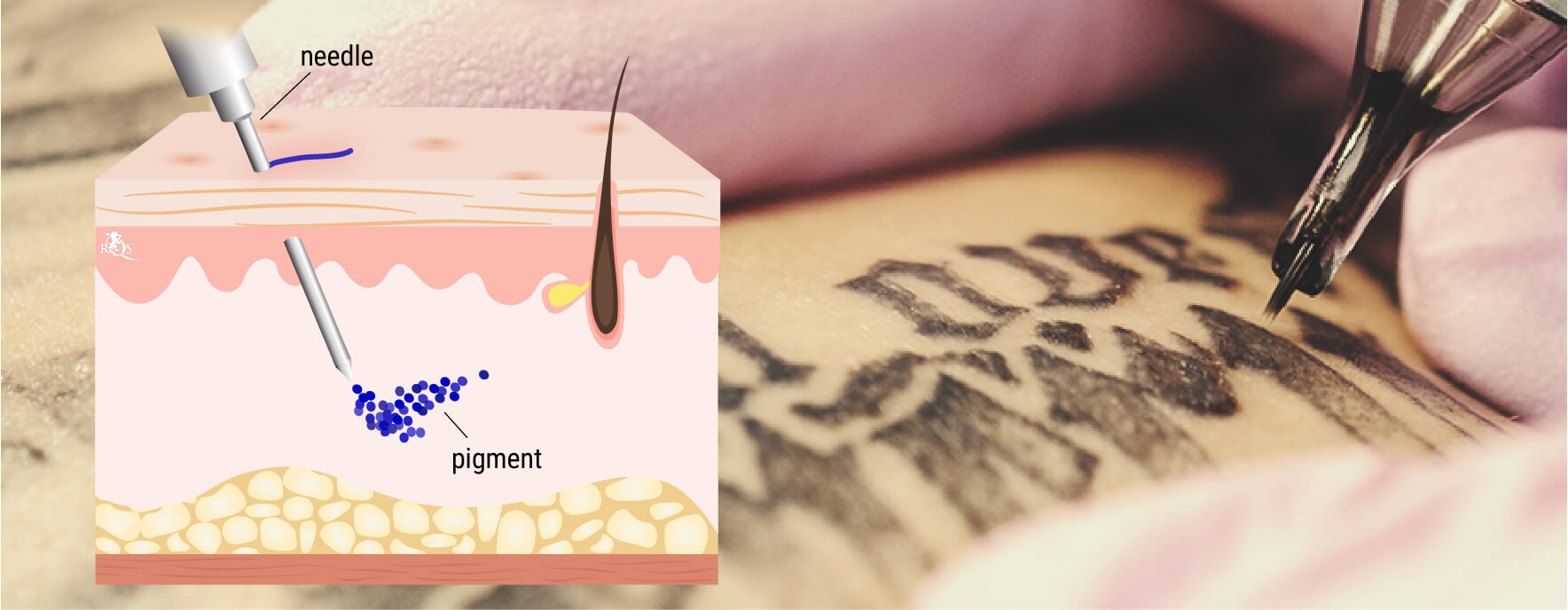 Hoe Gaat een Tattoo Zetten in Zijn Werk? Hoe Gaat een Tattoo Zetten in Zijn Werk?