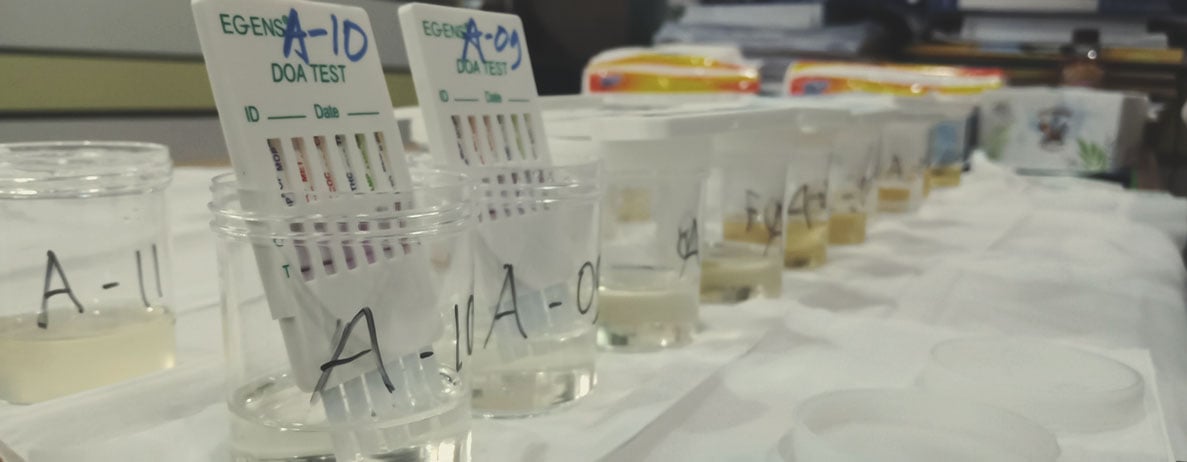 Hoelang is THC detecteerbaar? Hoelang is THC detecteerbaar?