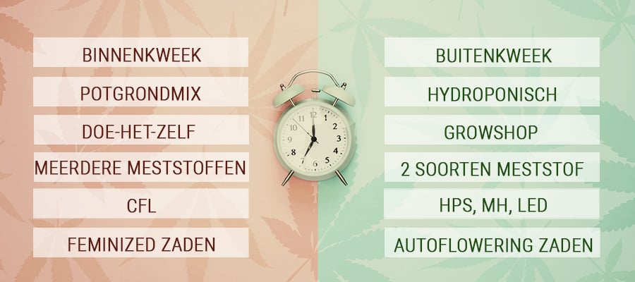 Tijdbesparende tips voor drukke cannabiskwekers 