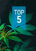 TOP POPULAR CBD