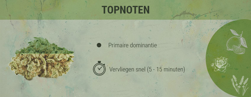Top Chords Cannabis Top Chords Cannabis