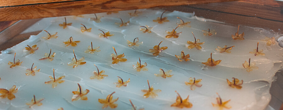 Traditional perfume making