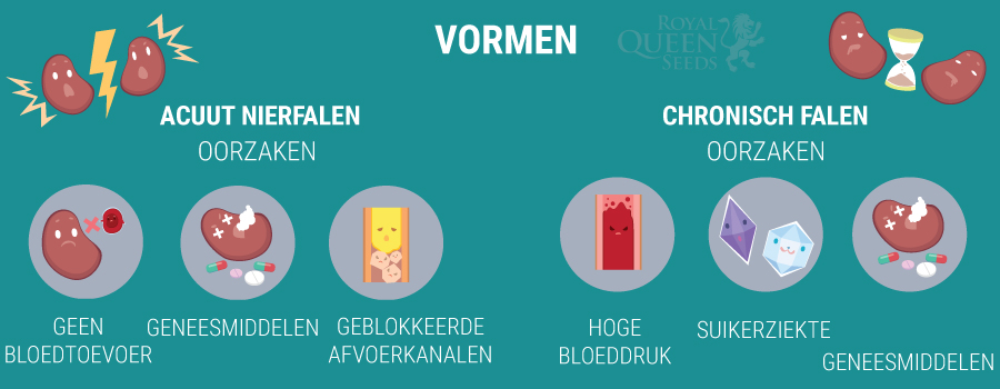 Vormen