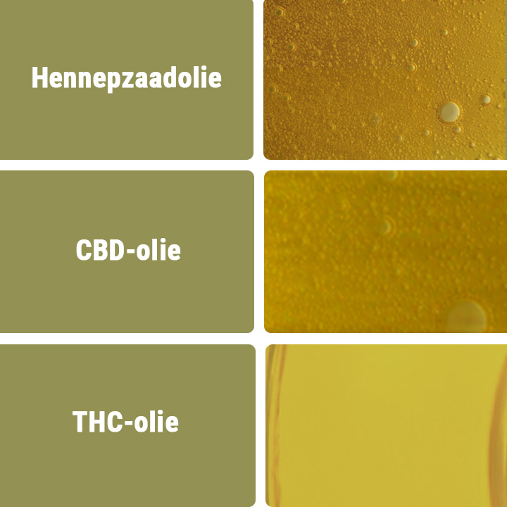 CBD-olie versus Andere Typen Oliën