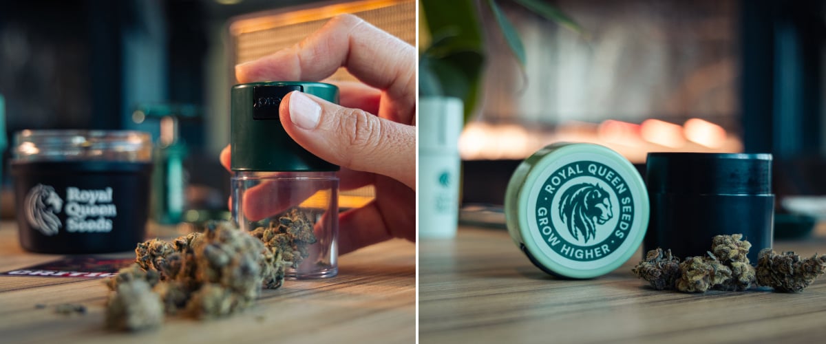 Afbeelding van cannabis toppen naast compacte vacuümverzegelde opbergcontainers op een houten oppervlak.