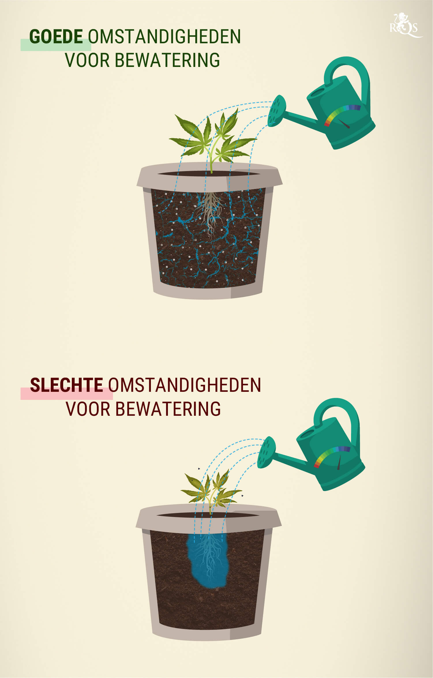 Hoeveel water hebben cannabisplanten nodig? Hoeveel water hebben cannabisplanten nodig?