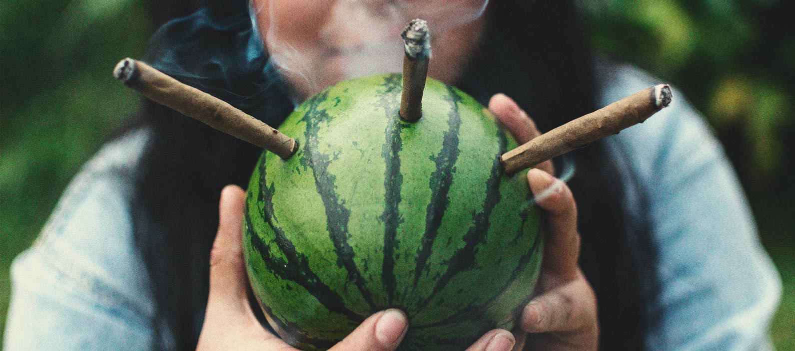 De beste groentes en fruit voor een zelfgemaakte pijp De beste groentes en fruit voor een zelfgemaakte pijp