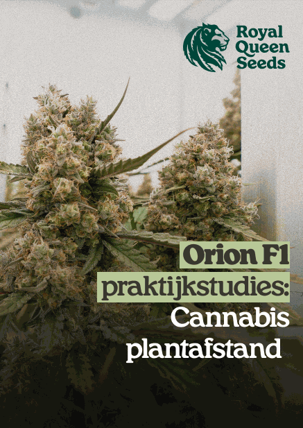 Plant_spacing_nl