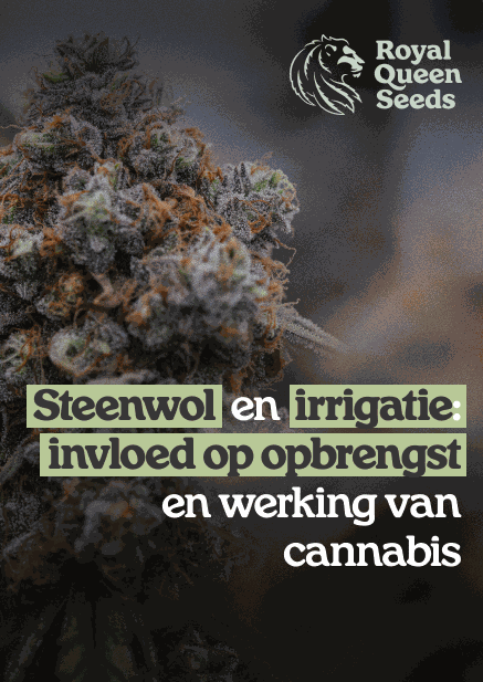 Rockwool_choice_nl