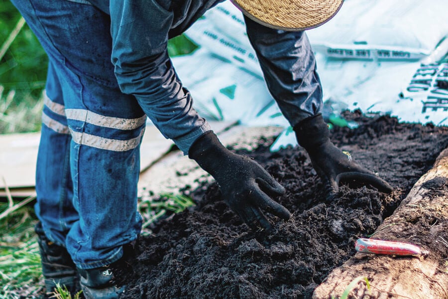 Alles over no-till en no-dig tuinieren