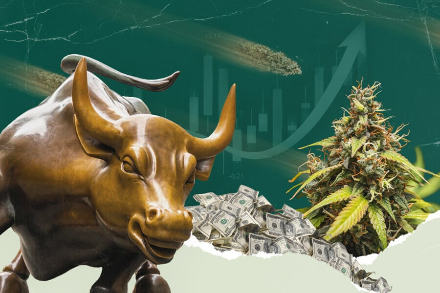 Inzicht in de cannabis aandelenmarkt