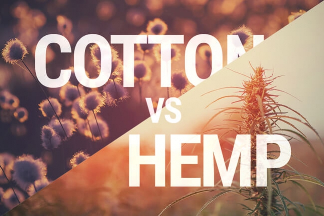 Hennep of katoen: welk textiel is beter?