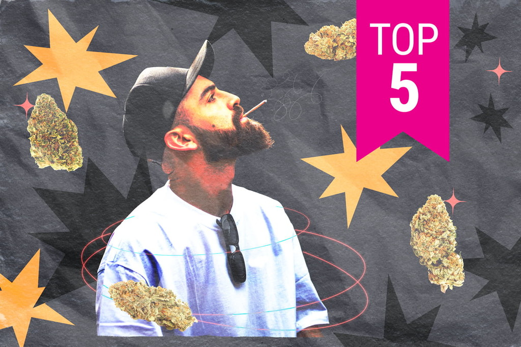 Top 5 cannabis strains voor meer focus and creativiteit