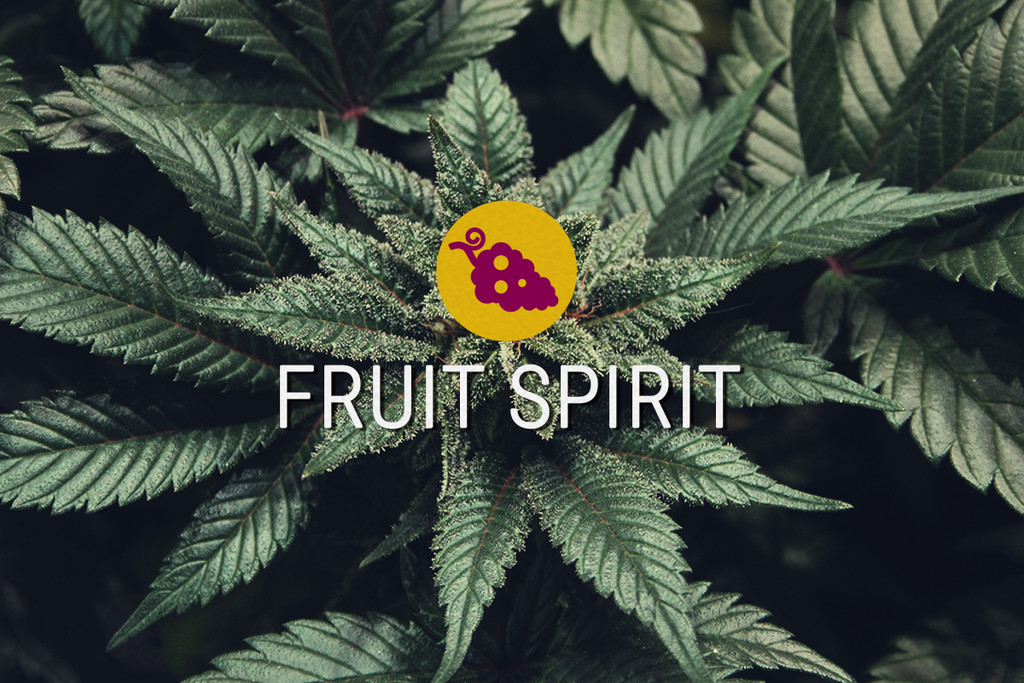 Fruit Spirit Gefeminiseerde Cannabis Zaden