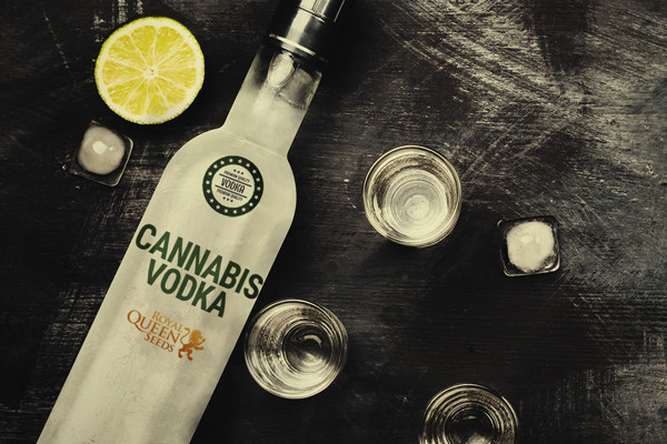 Cannabis geïnfundeerde wodka, 2 simpele manieren om het te maken