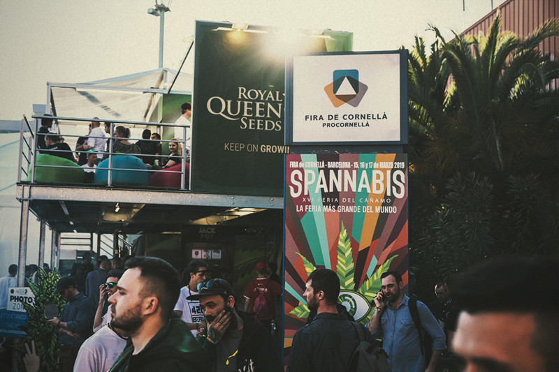 Spannabis 2019: Royal Queen Seeds als Beste Zadenbank!