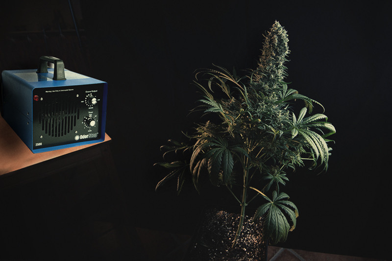 Ozongenerators en cannabis: Alles wat je zou moeten weten