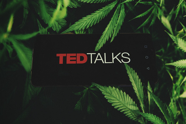 Ted Talks over cannabis — De beste over wiet