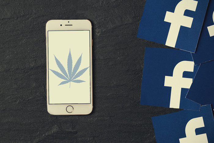 7 cannabispagina's op Facebook die je echt moet volgen 