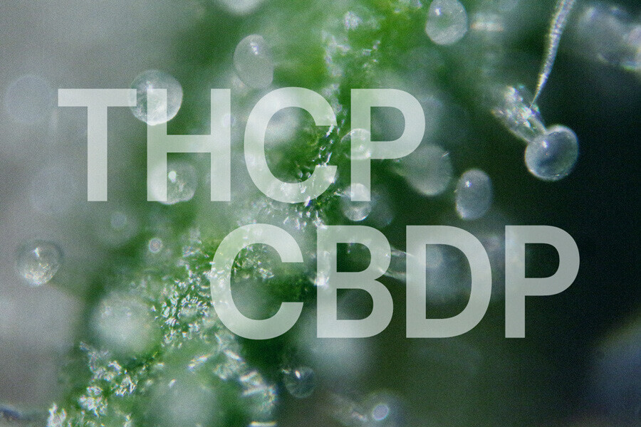 THCP en CBDP: een uitgebreide handleiding over deze nieuwe cannabinoïden